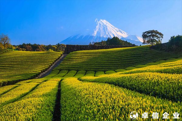 如何寫(xiě)日本注冊(cè)公司的經(jīng)營(yíng)范圍？