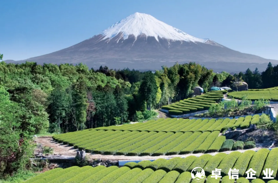 大陸人注冊(cè)日本公司需要多少資金？