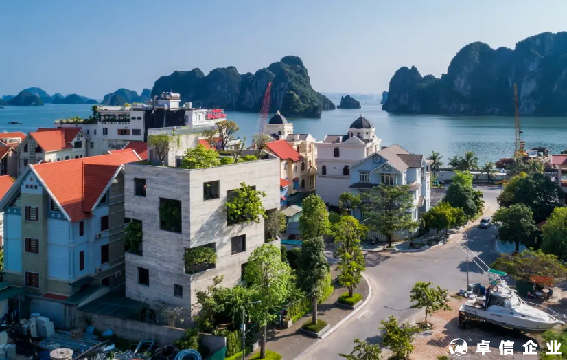 為什么越南的公司不建議用個(gè)人持有呢？