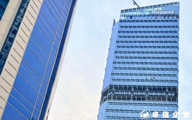 新加坡公司董事和股東為同一人有...